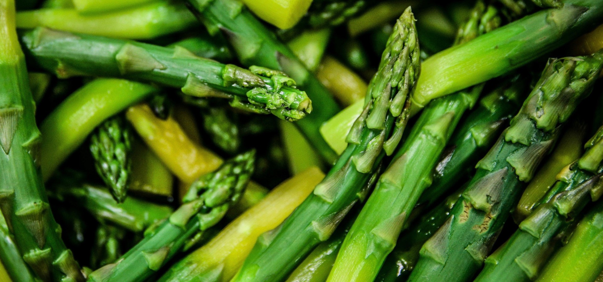 Asparagus menu at GamberoRosso